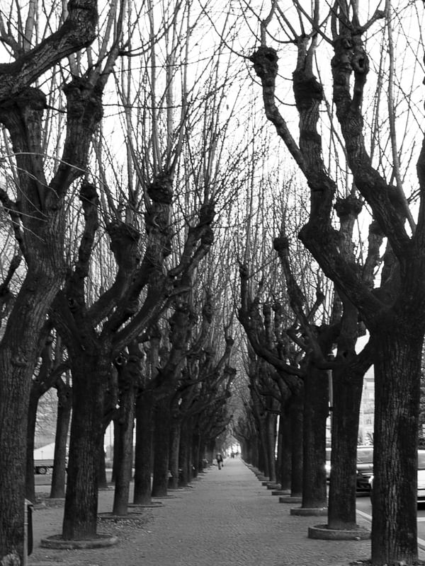 CAMINHOS DE COMO-ITÁLIA