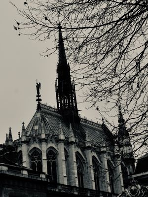 DA SÉRIE PARIS: SAINTE-CHAPELLE