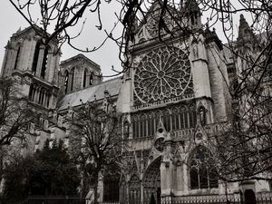 DA SÉRIE PARIS #99 (NOTRE-DAME)