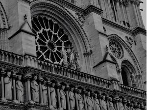 DA SÉRIE PARIS: NOTRE-DAME (ROSÁCEA)
