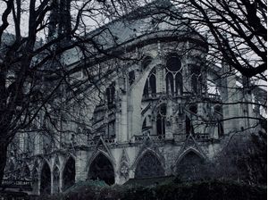 DA SÉRIE PARIS #98 (NOTRE-DAME)