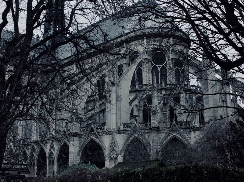 DA SÉRIE PARIS #98 (NOTRE-DAME)