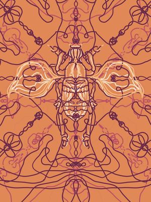 ARABESQUE BUG 9
