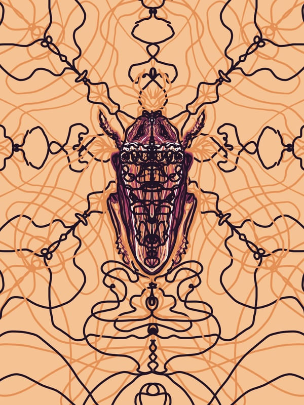 ARABESQUE BUG 2