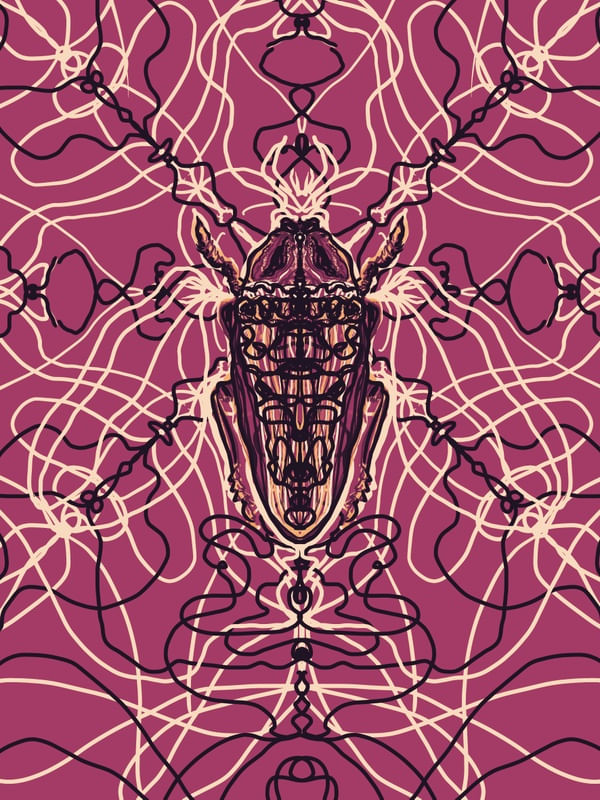 ARABESQUE BUG 3