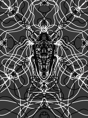 ARABESQUE BUG 12