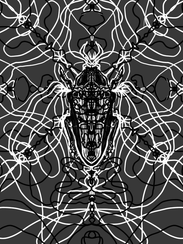 ARABESQUE BUG 12