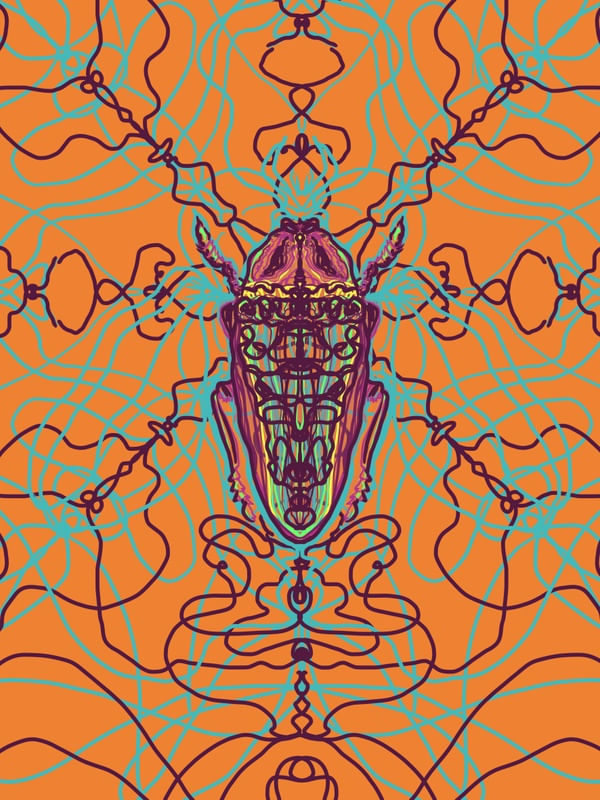 ARABESQUE BUG 5