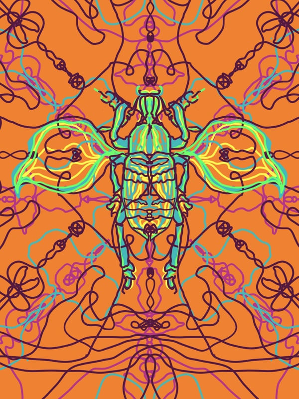 ARABESQUE BUG 6