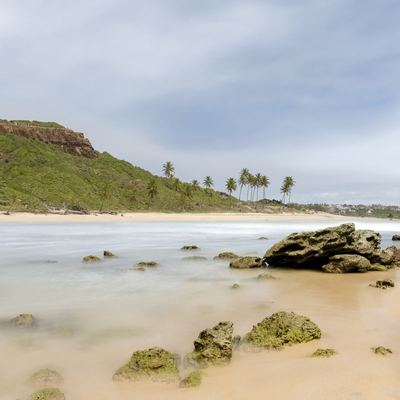A PAZ DE JOAO PESSOA PB