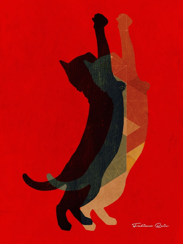 TWO CATS