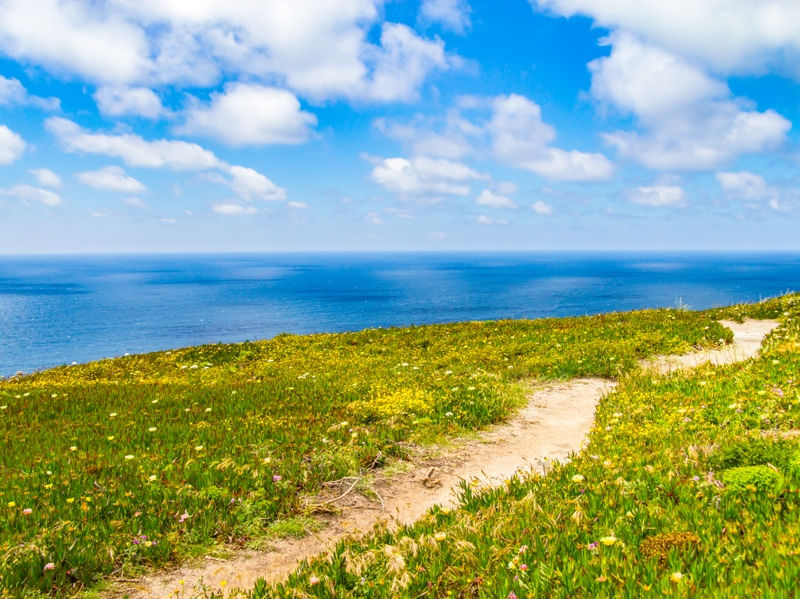 TRILHA FLORIDA NO CABO DA ROCA