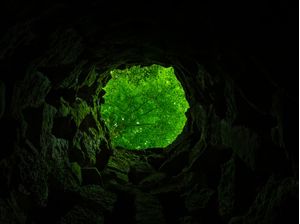 POÇO ESCURO COM FOLHAS VERDES
