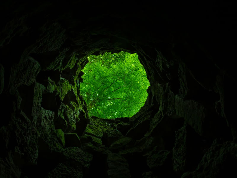 POÇO ESCURO COM FOLHAS VERDES