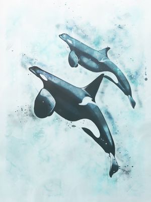 CASAL DE ORCAS