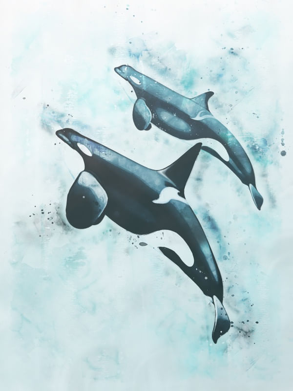 CASAL DE ORCAS