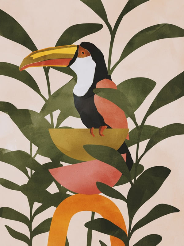 BOHO TOUCAN