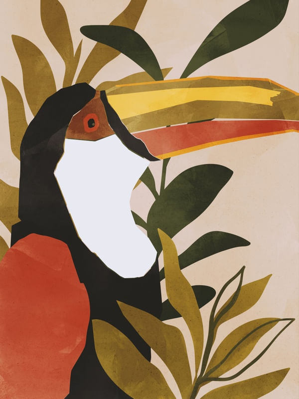 JUNGLE TOUCAN