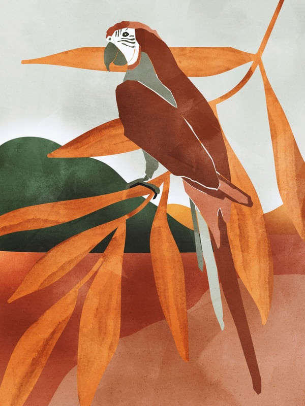 TROPICAL BY TAS