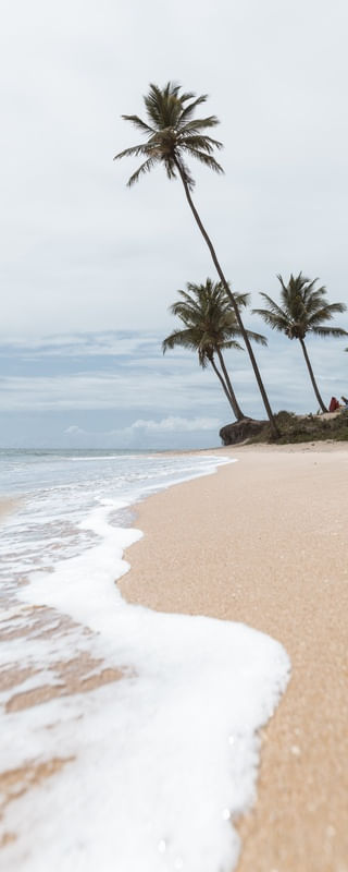 PARAISO NUBLADO