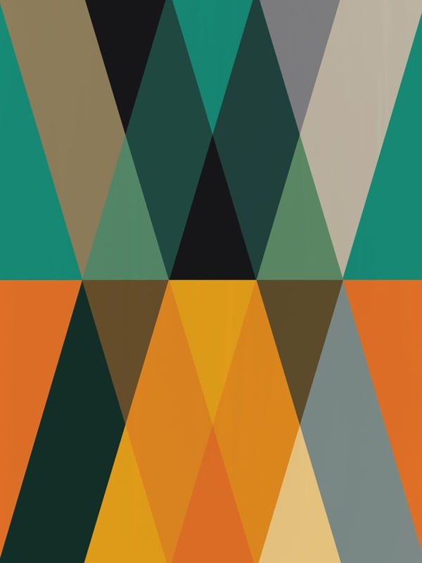 CHEVRONS MULTICOLOR 3