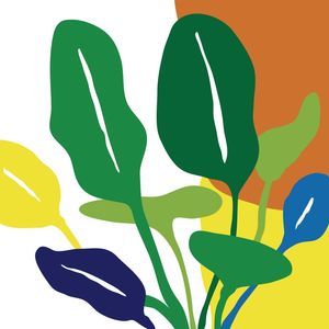 FLORAL 221
