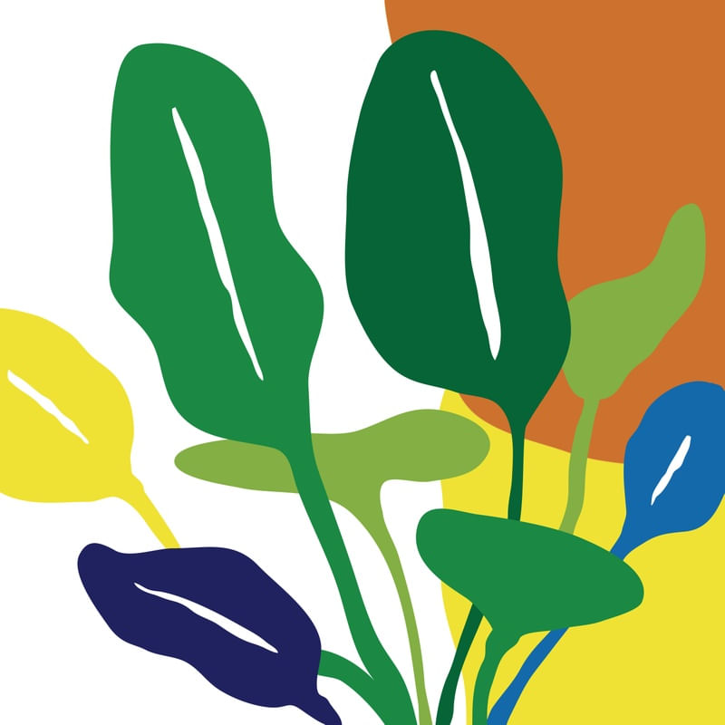 FLORAL 221