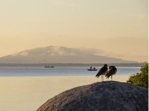 TRABALHO AO AMANHECER IV