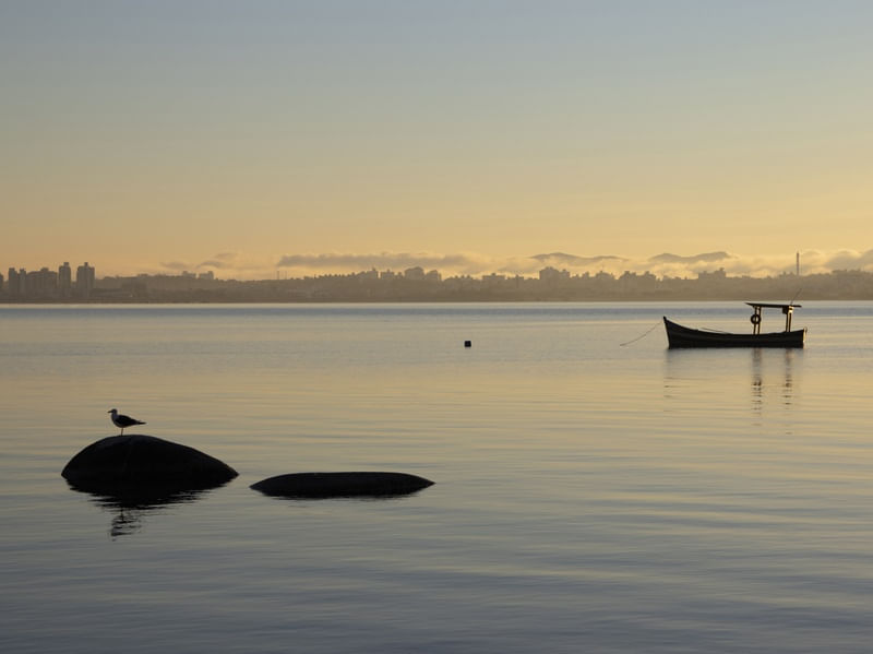 MANHÃ TRANQUILA III