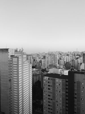 SELVA PAULISTA