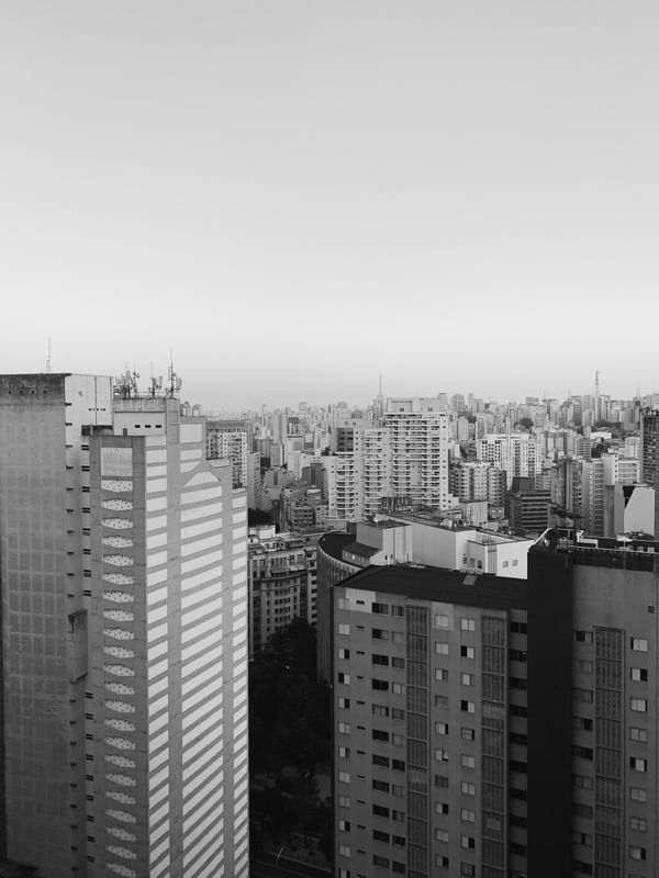 SELVA PAULISTA
