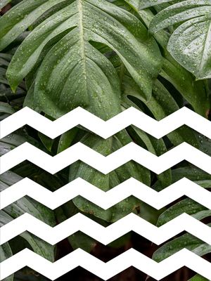TROPICAL GEOMETRICO - 03E