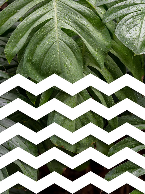 TROPICAL GEOMETRICO - 03E