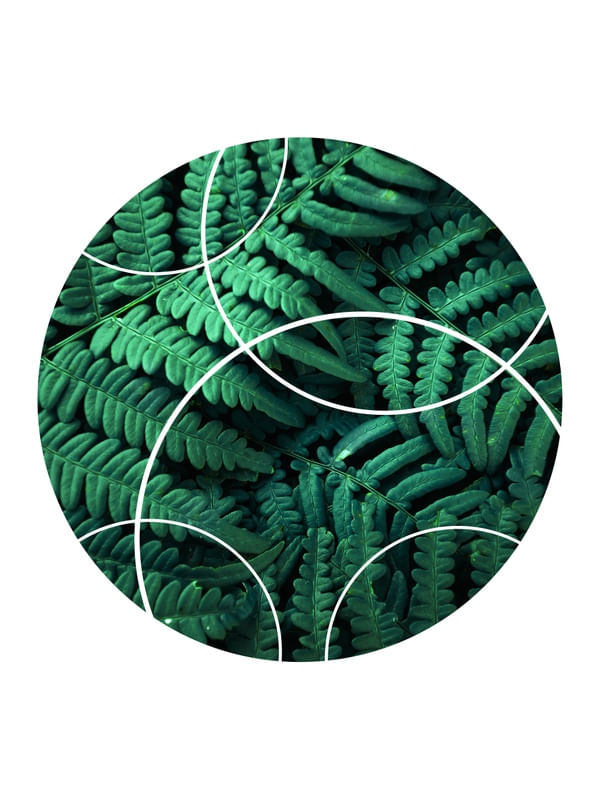 TROPICAL GEOMETRICO - 04A