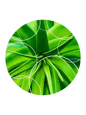 TROPICAL GEOMETRICO - 04B
