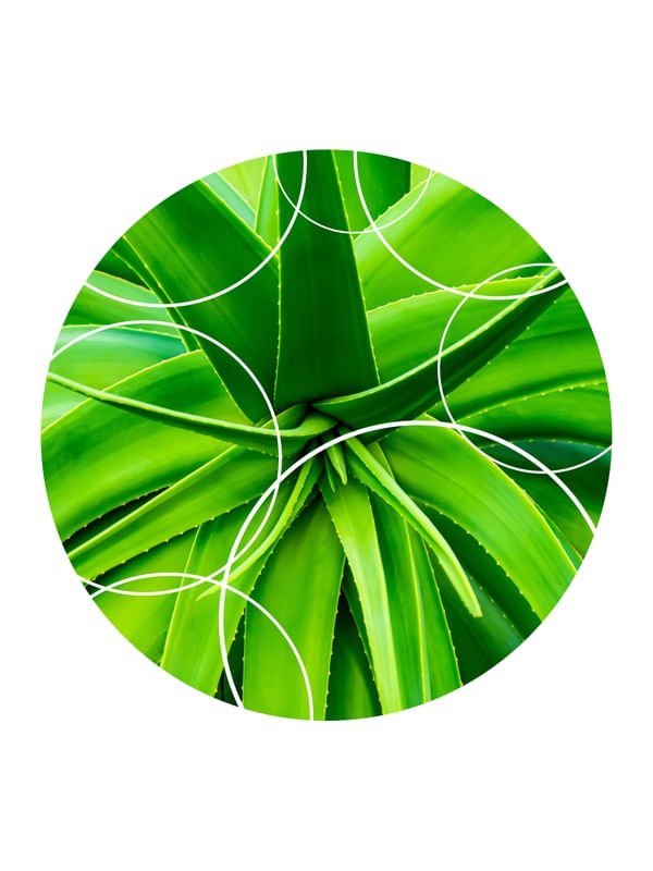 TROPICAL GEOMETRICO - 04B
