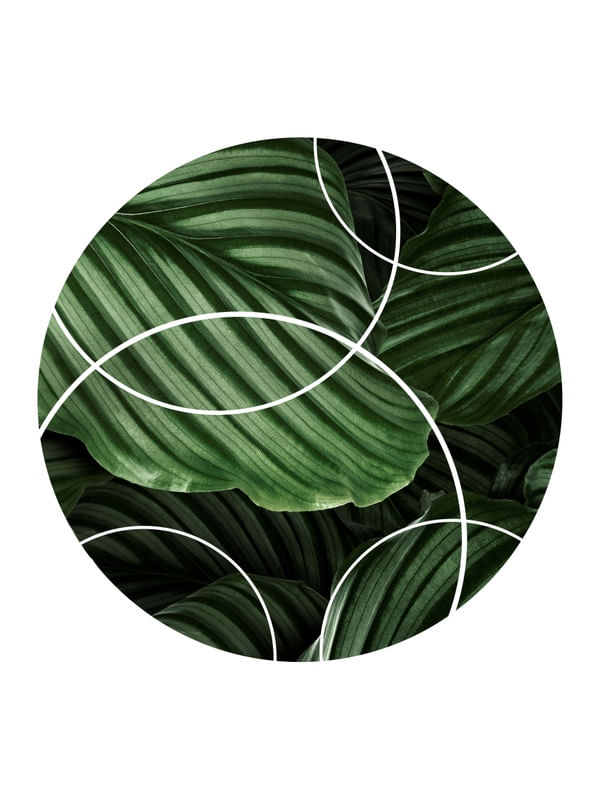 TROPICAL GEOMETRICO - 04C