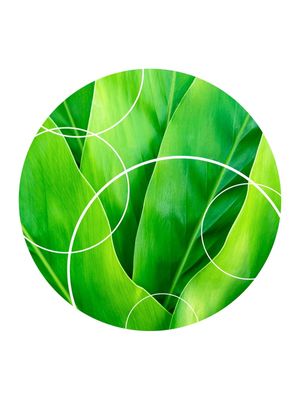 TROPICAL GEOMETRICO - 04D
