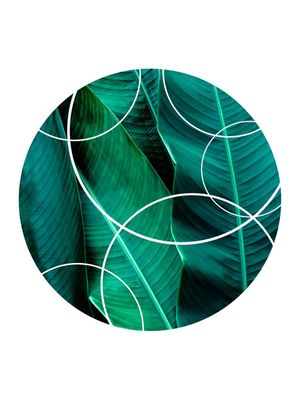 TROPICAL GEOMETRICO - 04F