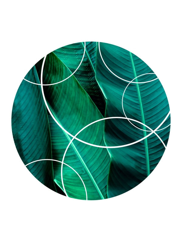 TROPICAL GEOMETRICO - 04F