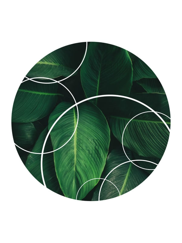 TROPICAL GEOMETRICO - 04G