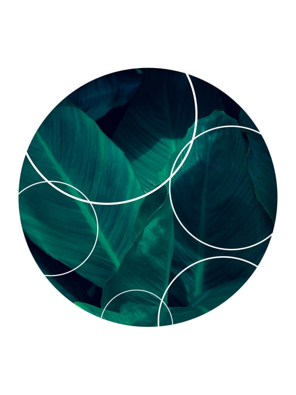 TROPICAL GEOMETRICO - 04H