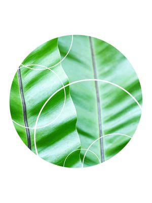 TROPICAL GEOMETRICO - 04J