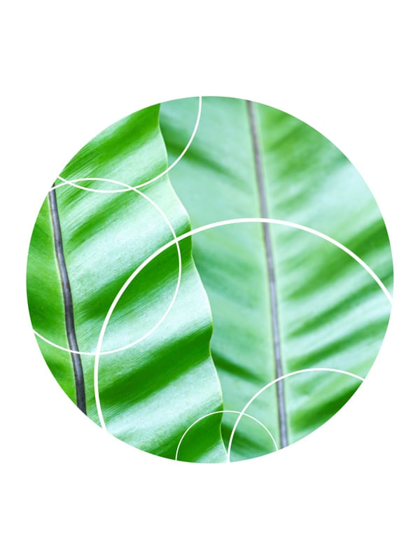 TROPICAL GEOMETRICO - 04J