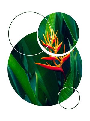 TROPICAL GEOMETRICO - 05A