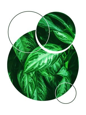TROPICAL GEOMETRICO - 05E