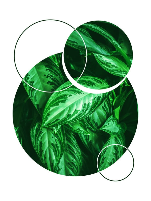 TROPICAL GEOMETRICO - 05E