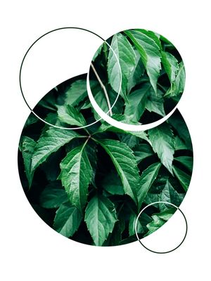 TROPICAL GEOMETRICO - 05F