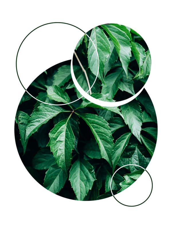 TROPICAL GEOMETRICO - 05F