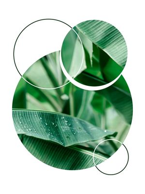 TROPICAL GEOMETRICO - 05G